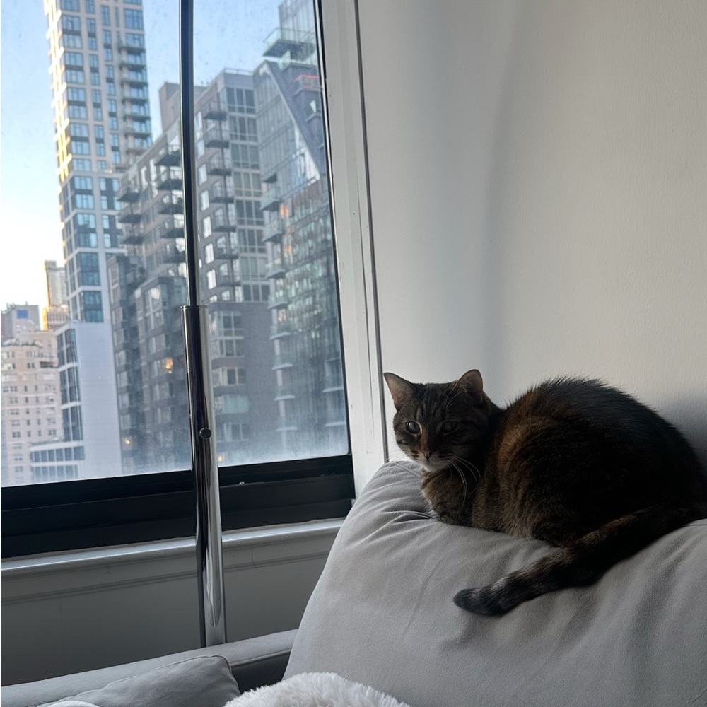 Plush Cat Lounger in Elegant Gray